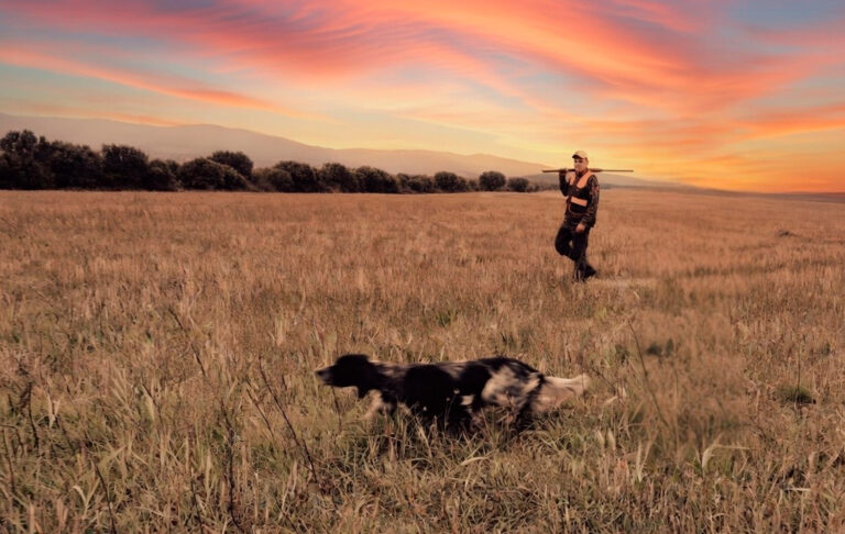 Night hunting: regulations, safety and ethics (what you need to know before you go out)