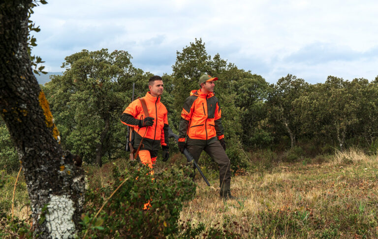 The hunter’s legal checklist: documentation, licences, insurance and transport without mistakes