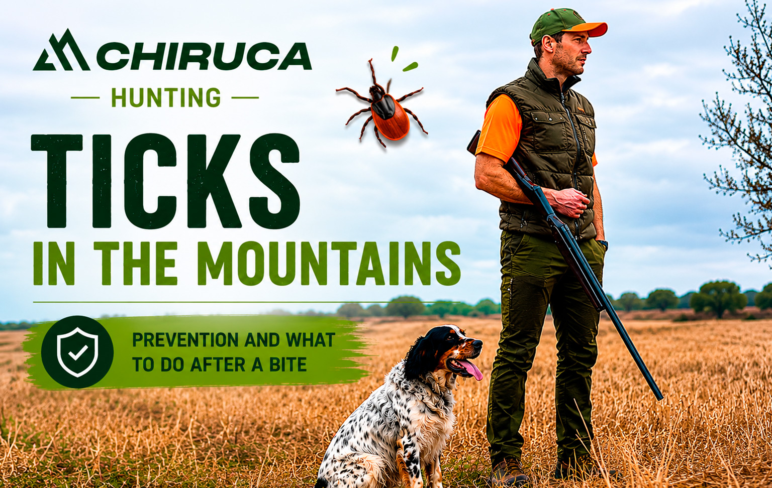 Ticks in the countryside: prevention and what to do after a bite for hunters and dogs